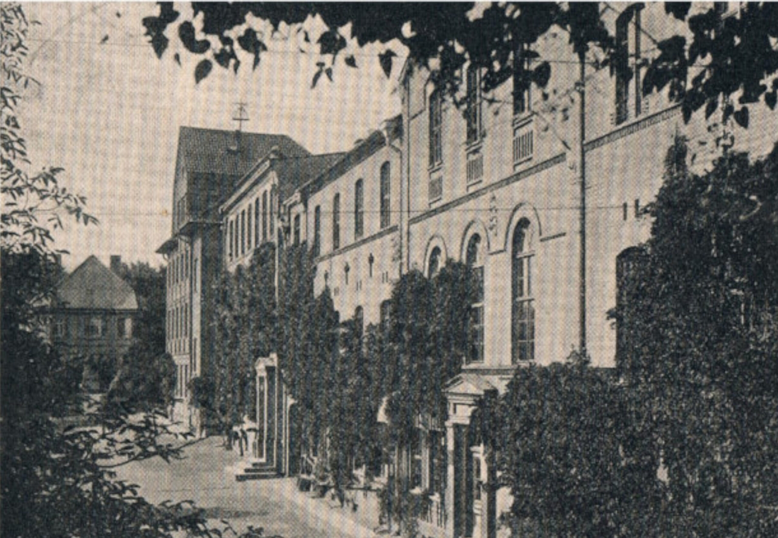 Before image